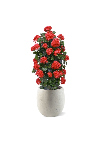 Geranio artificiale a colonna 120cm UV rosso