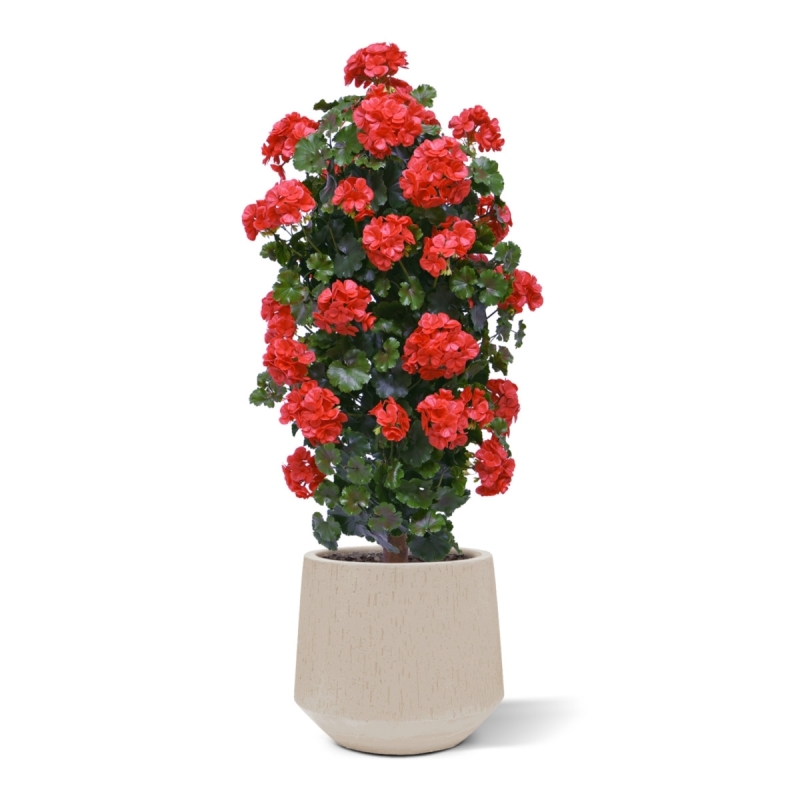 Geranio artificiale a colonna 120cm UV rosso