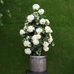 Piramide artificiale di Geranio 110cm pianta UV Crema