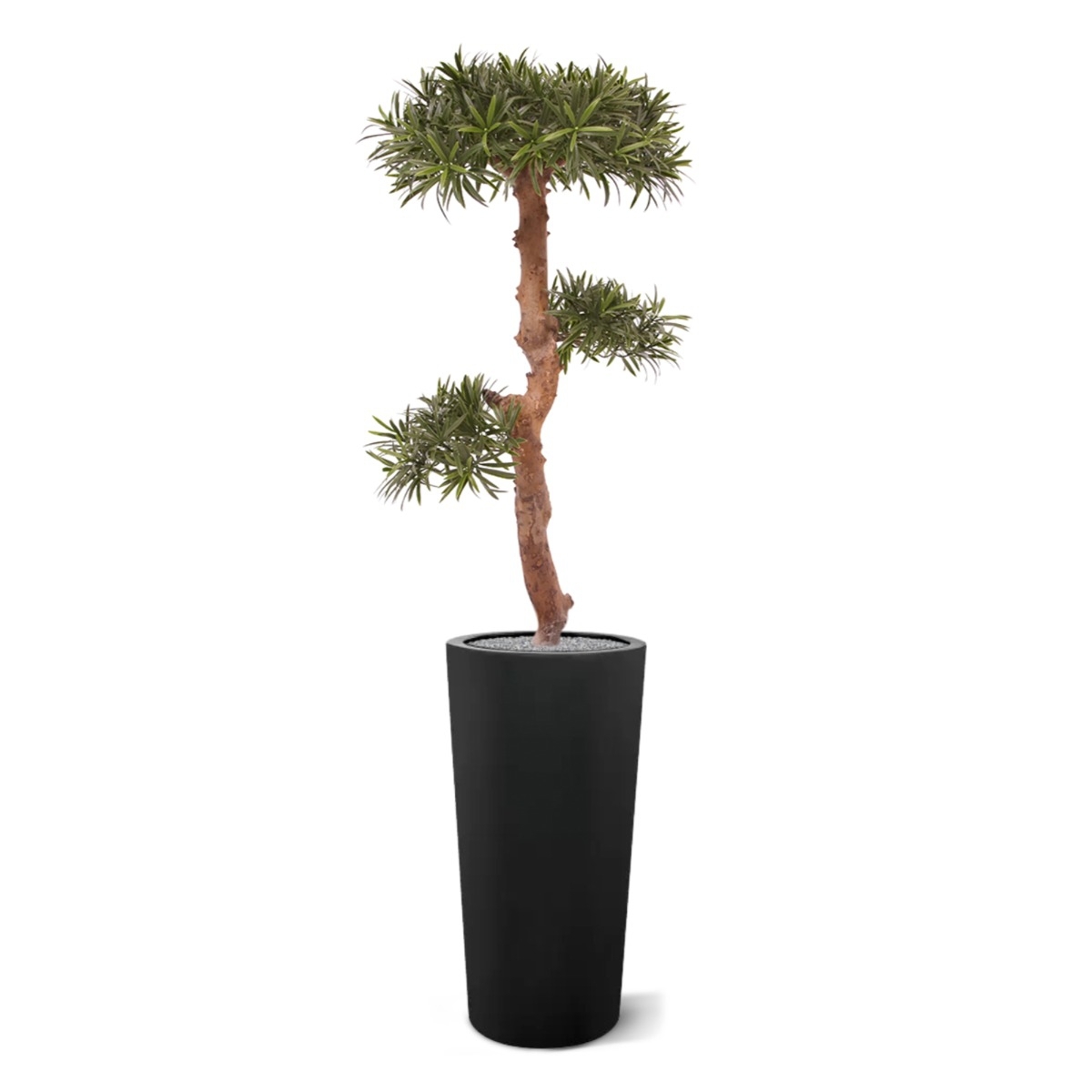 Podocarpus Bonsai artificiale 105 cm - resistente ai raggi UV