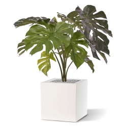 Monstera pianta artificiale 80 cm