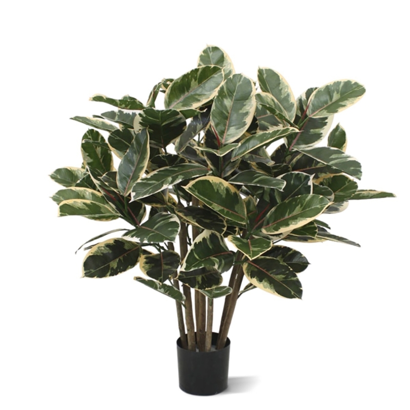 Pianta artificiale di Elastica Robusta 100 cm