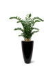 Zamioculcas XL pianta artificiale 120cm