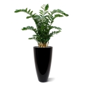 Zamioculcas XL pianta artificiale 120cm