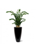 Zamioculcas XL pianta artificiale 120cm