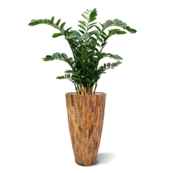 Zamioculcas XL pianta artificiale 120cm