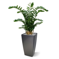 Zamioculcas XL pianta artificiale 120cm