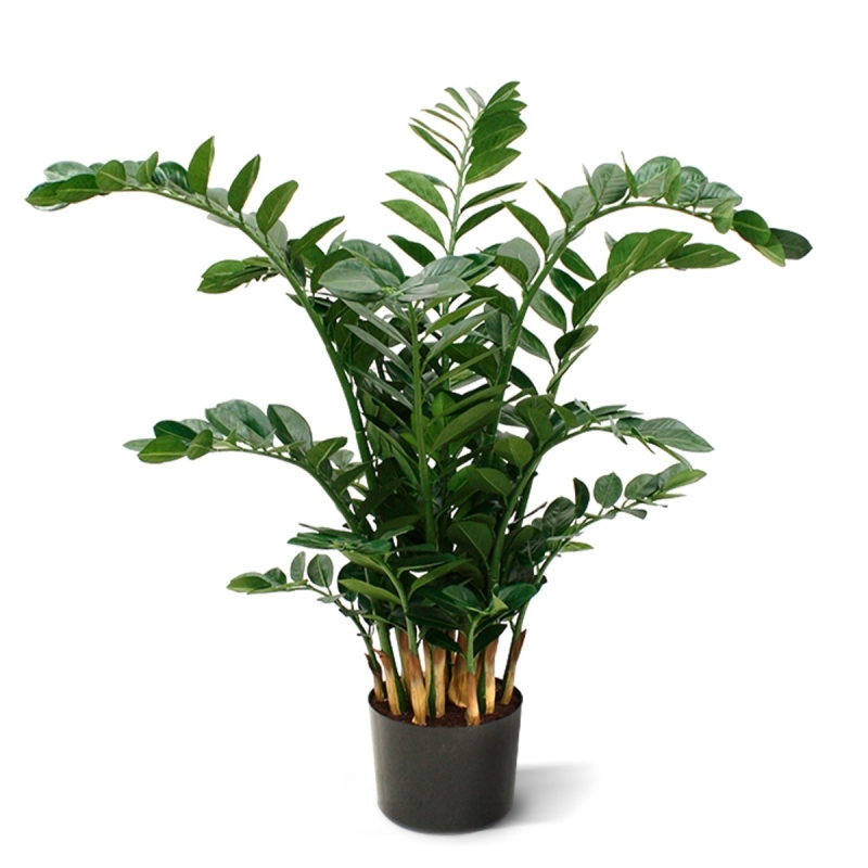 Zamioculcas XL pianta artificiale 120cm