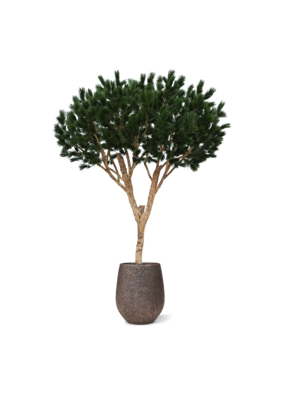 Albero artificiale Pinus Umbrella XL Deluxe 260cm