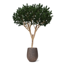 Albero artificiale Pinus Umbrella XL Deluxe 260cm