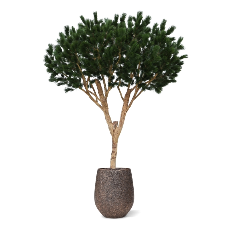Albero artificiale Pinus Umbrella XL Deluxe 260cm