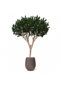 Albero artificiale Pinus Umbrella XL Deluxe 260cm
