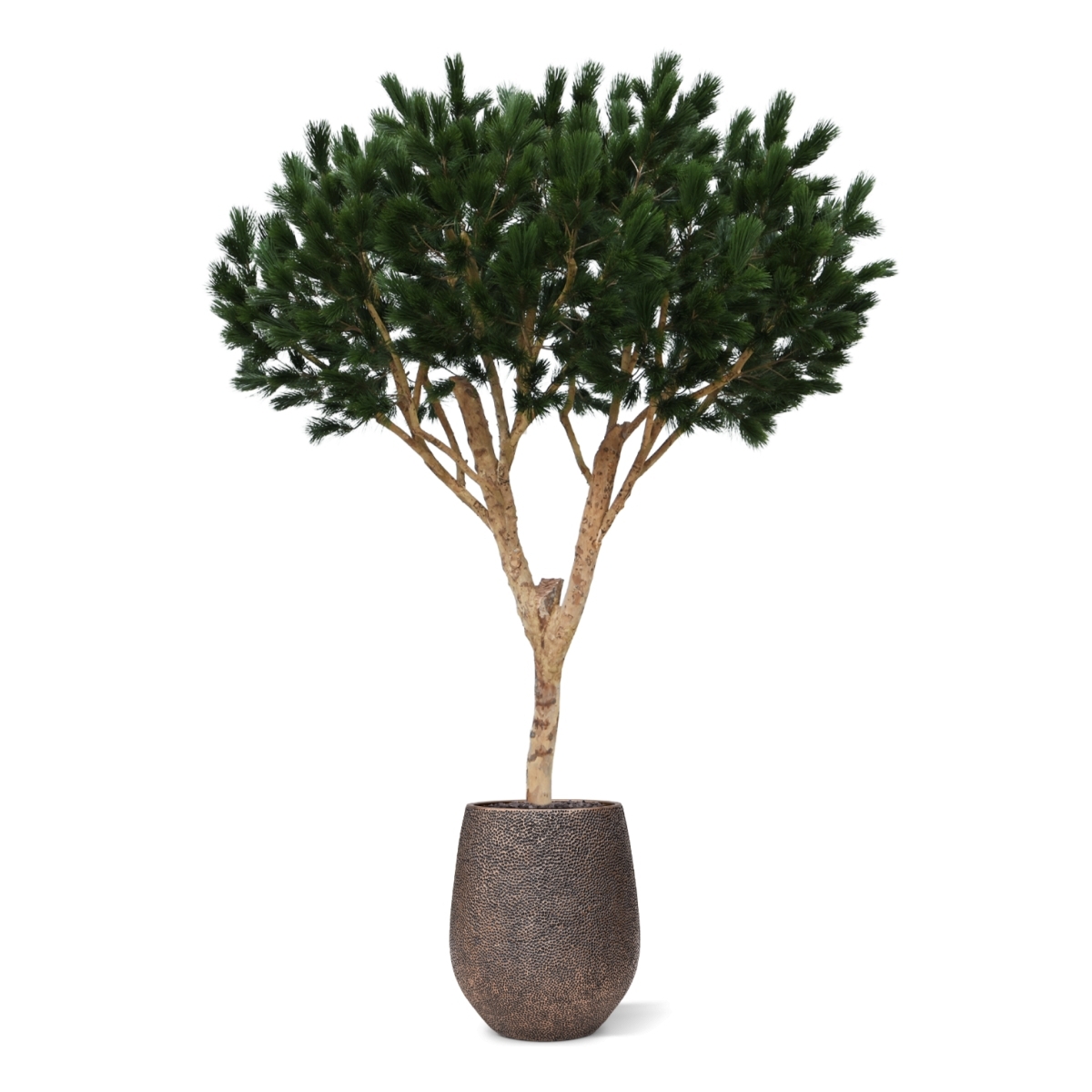 Albero artificiale Pinus Umbrella XL Deluxe 260cm