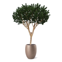 Albero artificiale Pinus Umbrella XL Deluxe 260cm