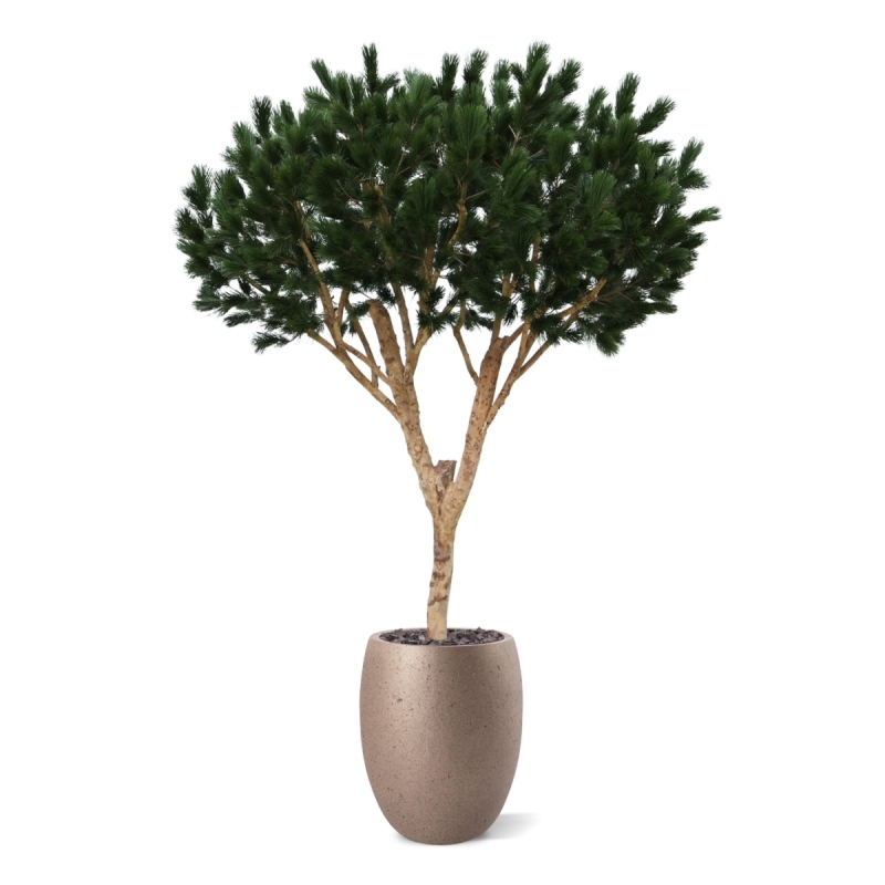 Albero artificiale Pinus Umbrella XL Deluxe 260cm