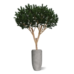 Albero artificiale Pinus Umbrella XL Deluxe 260cm