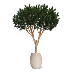 Albero artificiale Pinus Umbrella XL Deluxe 260cm