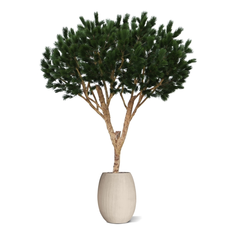 Albero artificiale Pinus Umbrella XL Deluxe 260cm
