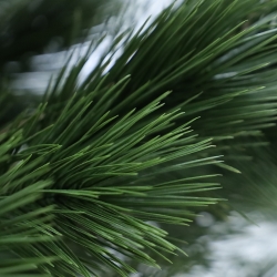 Albero artificiale Pinus Umbrella XL Deluxe 260cm