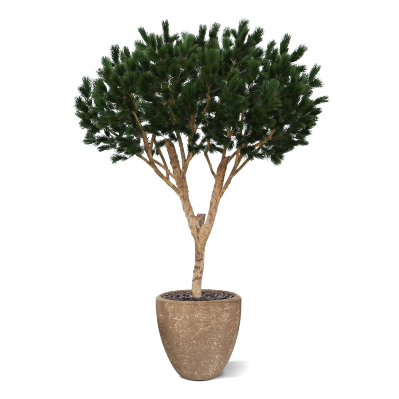 Albero artificiale Pinus Umbrella XL Deluxe 260cm