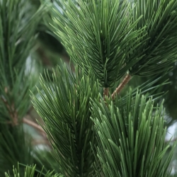 Albero artificiale Pinus Umbrella XL Deluxe 260cm