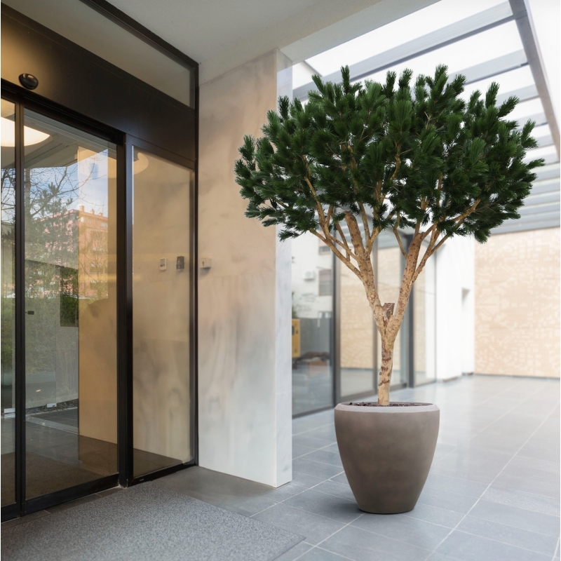 Albero artificiale Pinus Umbrella XL Deluxe 260cm