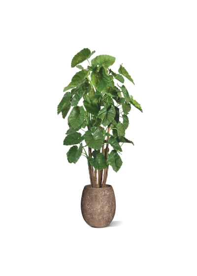 Alocasia Calidora Albero artificiale gigante deluxe 210 cm