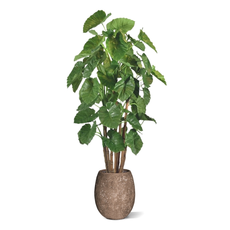 Alocasia Calidora Albero artificiale gigante deluxe 210 cm