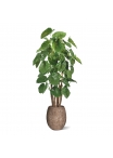 Alocasia Calidora Albero artificiale gigante deluxe 210 cm