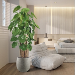 Alocasia Calidora Albero artificiale gigante deluxe 210 cm