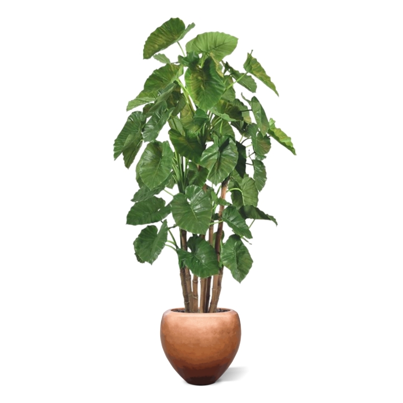 Alocasia Calidora Albero artificiale gigante deluxe 210 cm