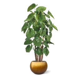 Alocasia Calidora Albero artificiale gigante deluxe 210 cm