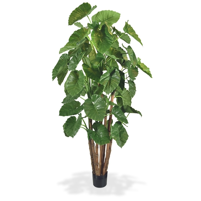 Alocasia Calidora Albero artificiale gigante deluxe 210 cm