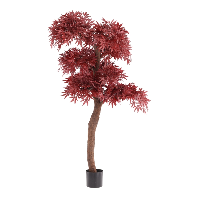 Artificiale Acero Bonsai Albero Deluxe 220cm Bordeaux