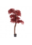 Artificiale Acero Bonsai Albero Deluxe 220cm Bordeaux