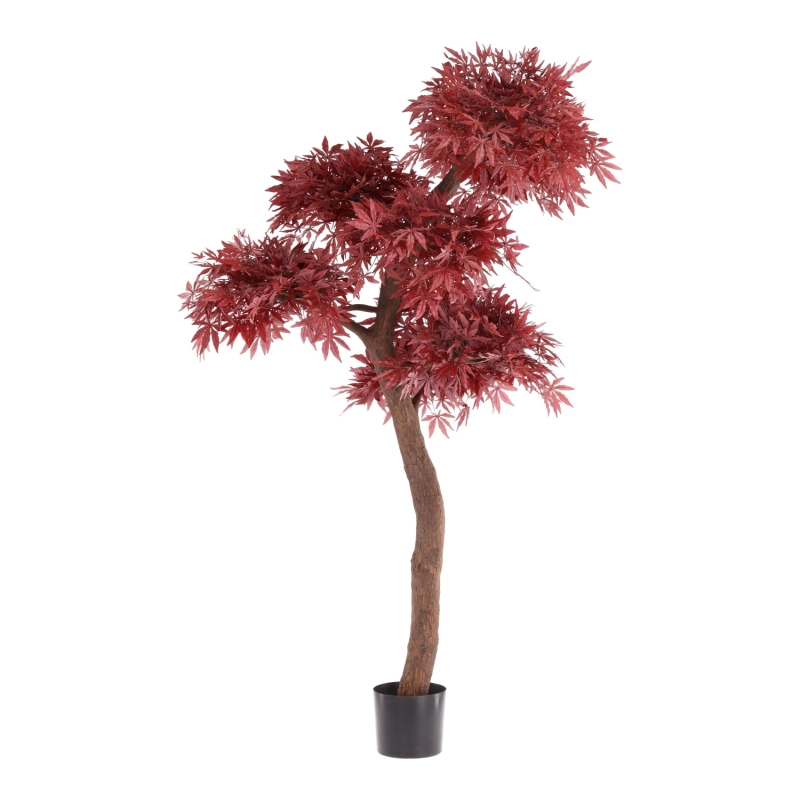 Artificiale Acero Bonsai Albero Deluxe 220cm Bordeaux