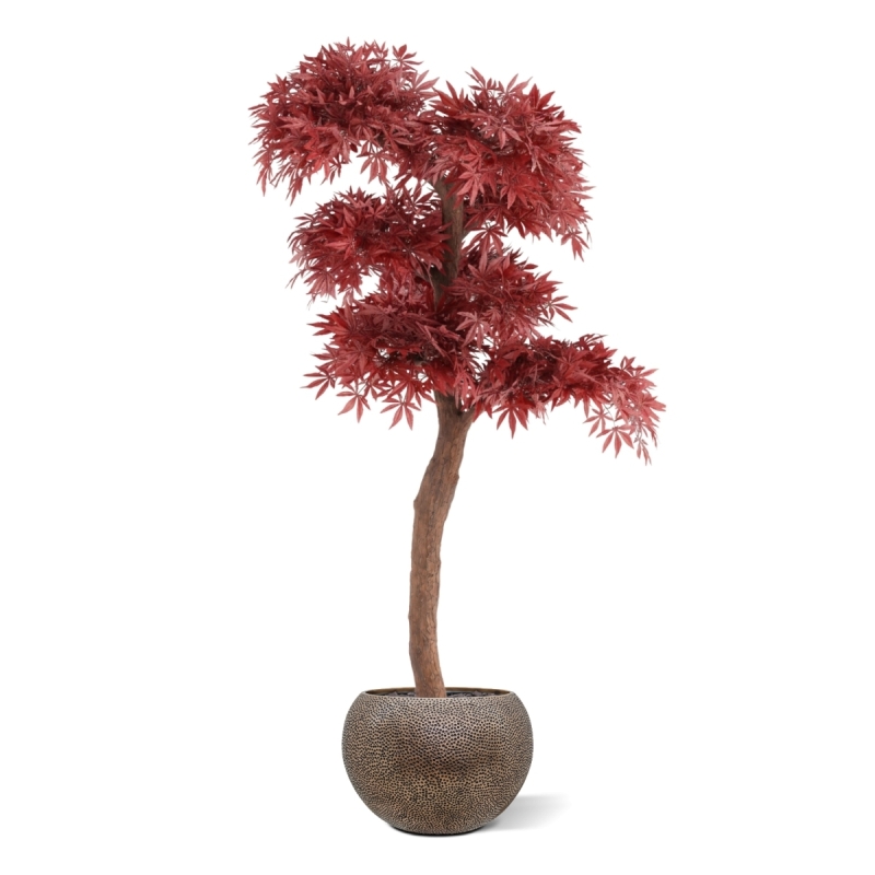 Artificiale Acero Bonsai Albero Deluxe 220cm Bordeaux