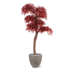 Artificiale Acero Bonsai Albero Deluxe 220cm Bordeaux