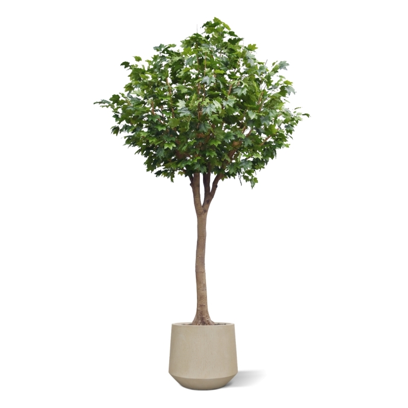 Albero artificiale di acero Deluxe XXL 375 cm su tronco