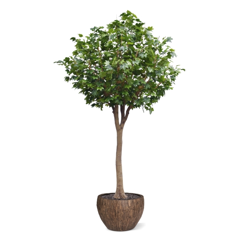 Albero artificiale di acero Deluxe XXL 375 cm su tronco