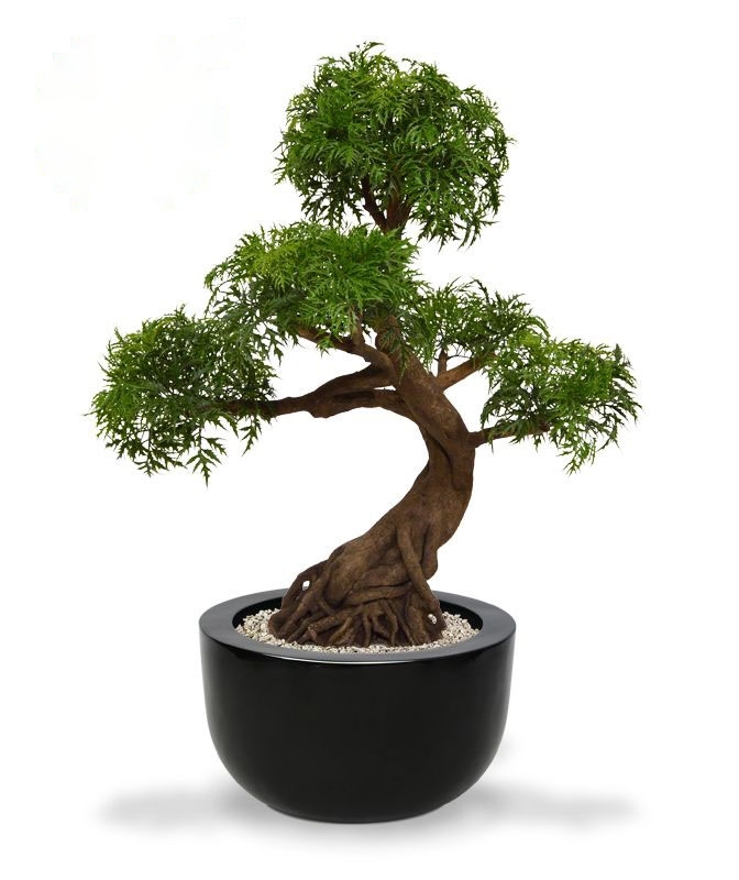 Albero artificiale Ming Aralia Bonsai su base 90cm - verde - resistente ai raggi UV