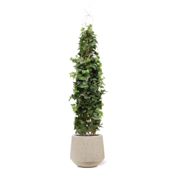Pianta artificiale di edera rampicante Deluxe 130cm