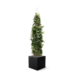 Pianta artificiale di edera rampicante Deluxe 130cm