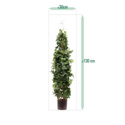 Pianta artificiale di edera rampicante Deluxe 130cm