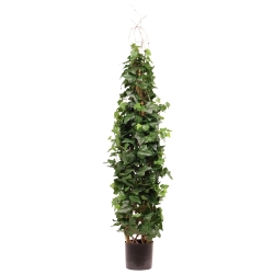 Pianta artificiale di edera rampicante Deluxe 130cm