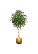 Albero Acer Giapponese Deluxe Artificiale 325cm Verde