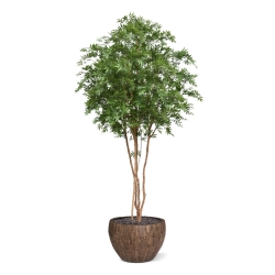 Albero Acer Giapponese Deluxe Artificiale 325cm Verde