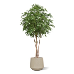 Albero Acer Giapponese Deluxe Artificiale 325cm Verde