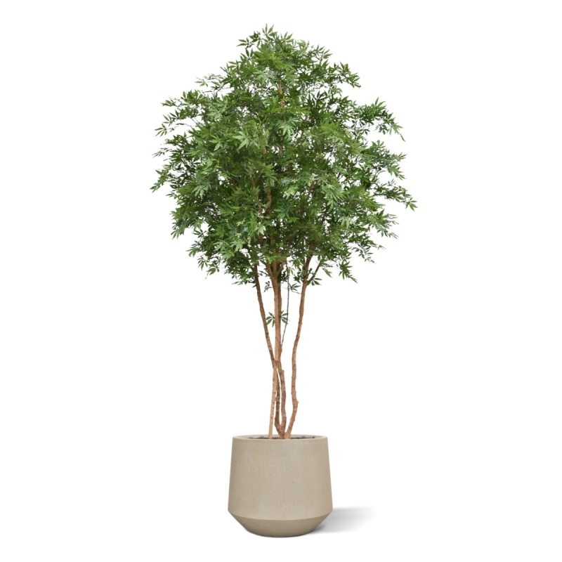 Albero Acer Giapponese Deluxe Artificiale 325cm Verde