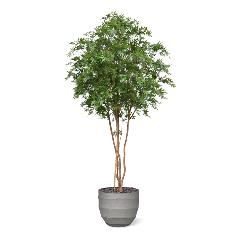 Albero Acer Giapponese Deluxe Artificiale 325cm Verde
